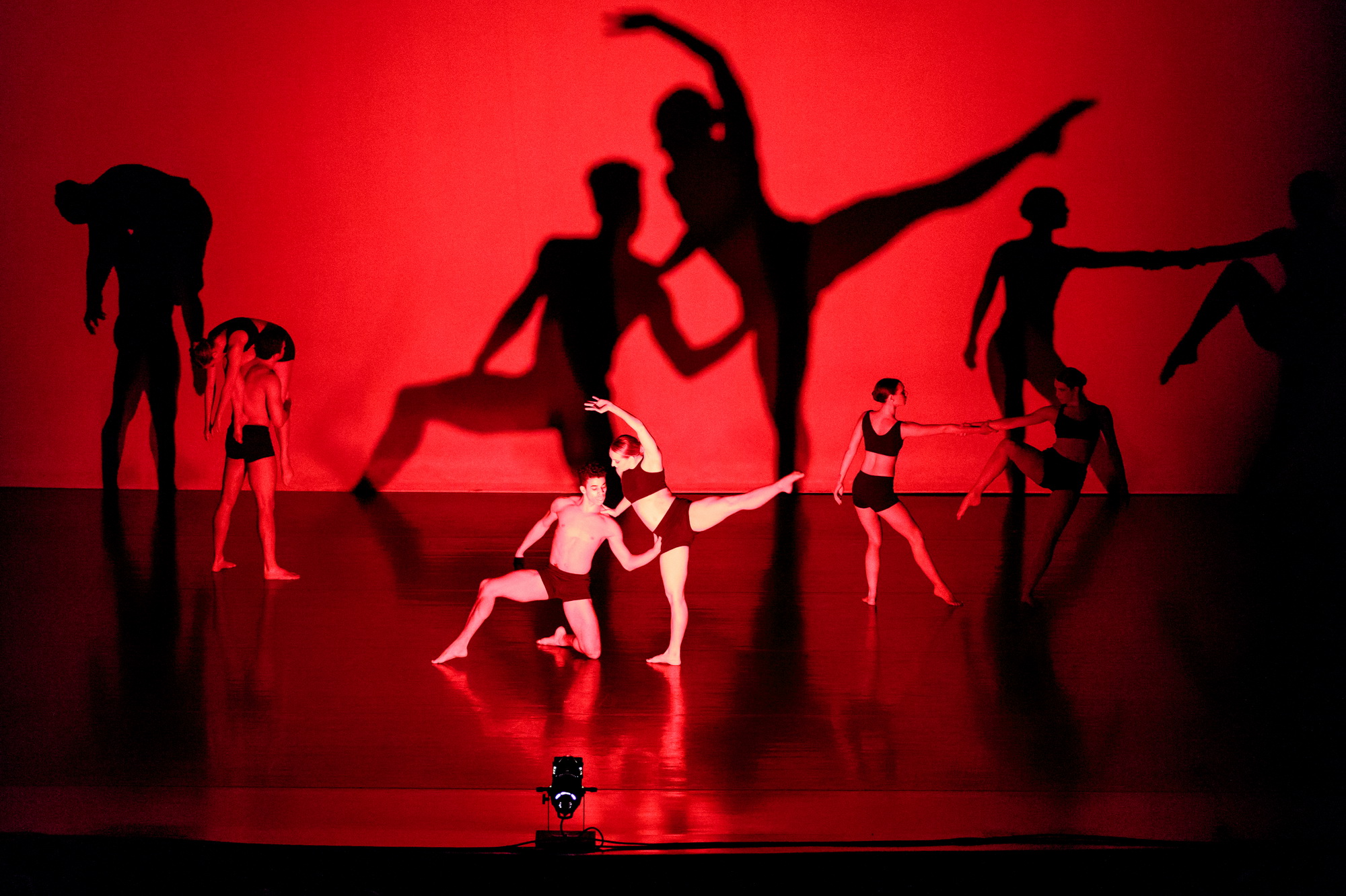 The Light Show – балет и свет от Лори Айзенхауэр