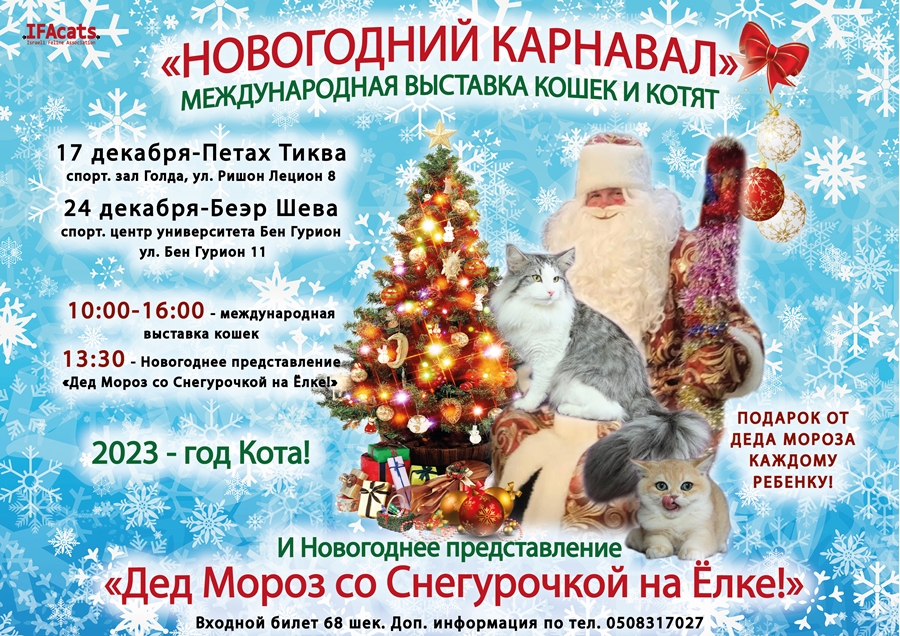 Дед Мороз и Кошки! Новогодняя выставка кошек c подарками от Деда Мороза