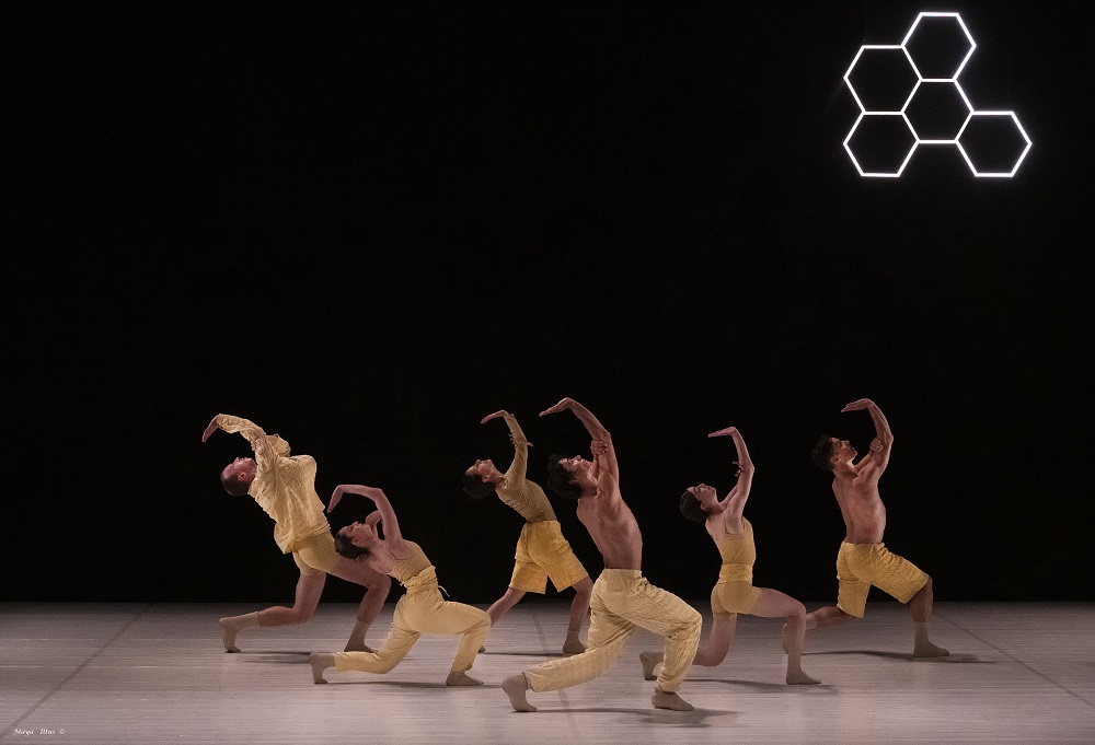 Егор Меньшиков представит премьеру балета «Танец пчел»