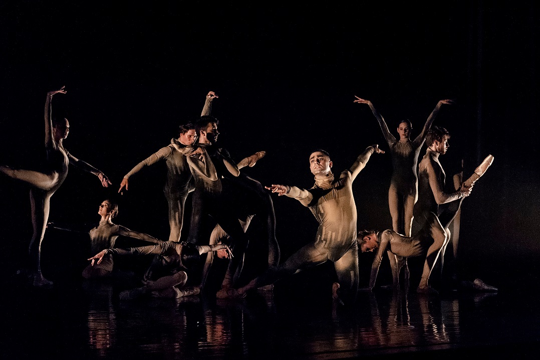 Израильский балет представляет: «Серенада для лебедя». Вечер двух одноактных балетов 2 мая