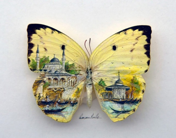 Mini-Art в Эйлате – рисунки на крыльях бабочки